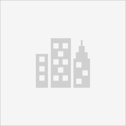 Business Data Solutions GmbH & Co. KG